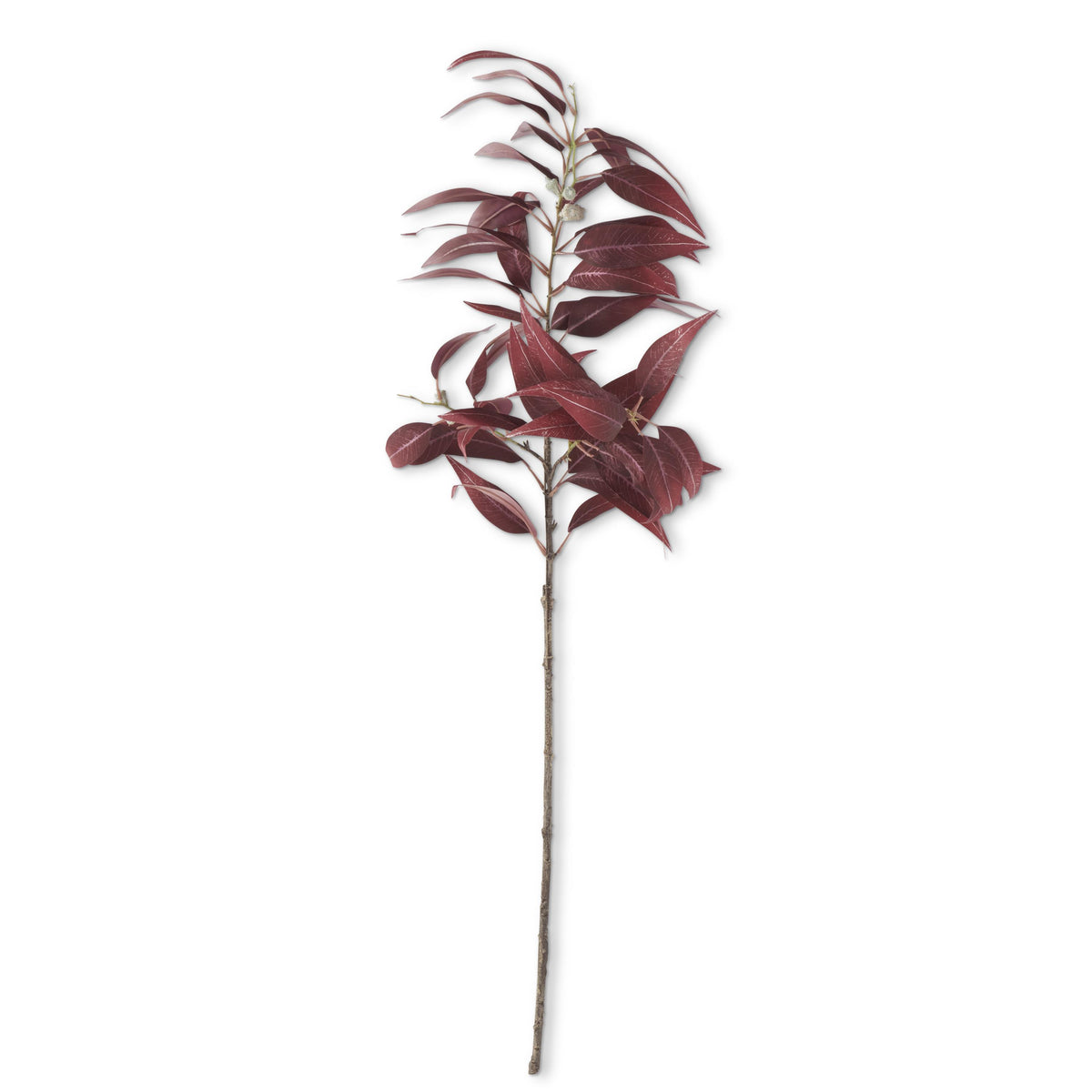 Eucalyptus Branch (Burgundy)