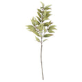 Eucalyptus Branch (Green)