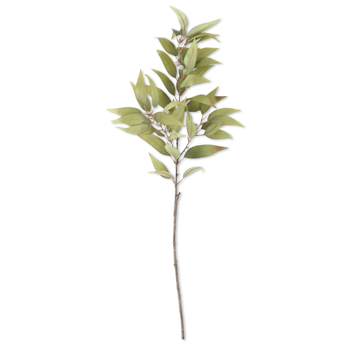 Eucalyptus Branch (Green)