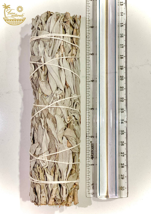 7 inch White California Sage Bundles- White Sage from Farm