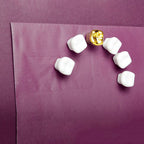 Wisdom Tooth Magnets 6 Per Set