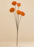 Poppy Spray Orange