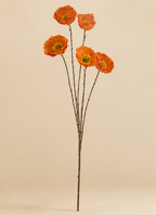 Poppy Spray Orange