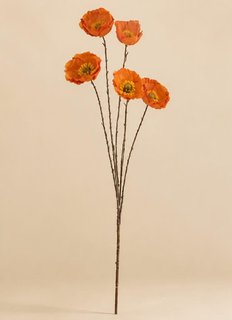 Poppy Spray Orange