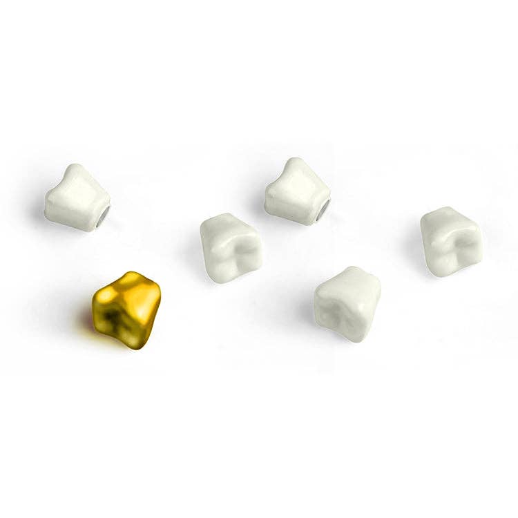 Wisdom Tooth Magnets 6 Per Set