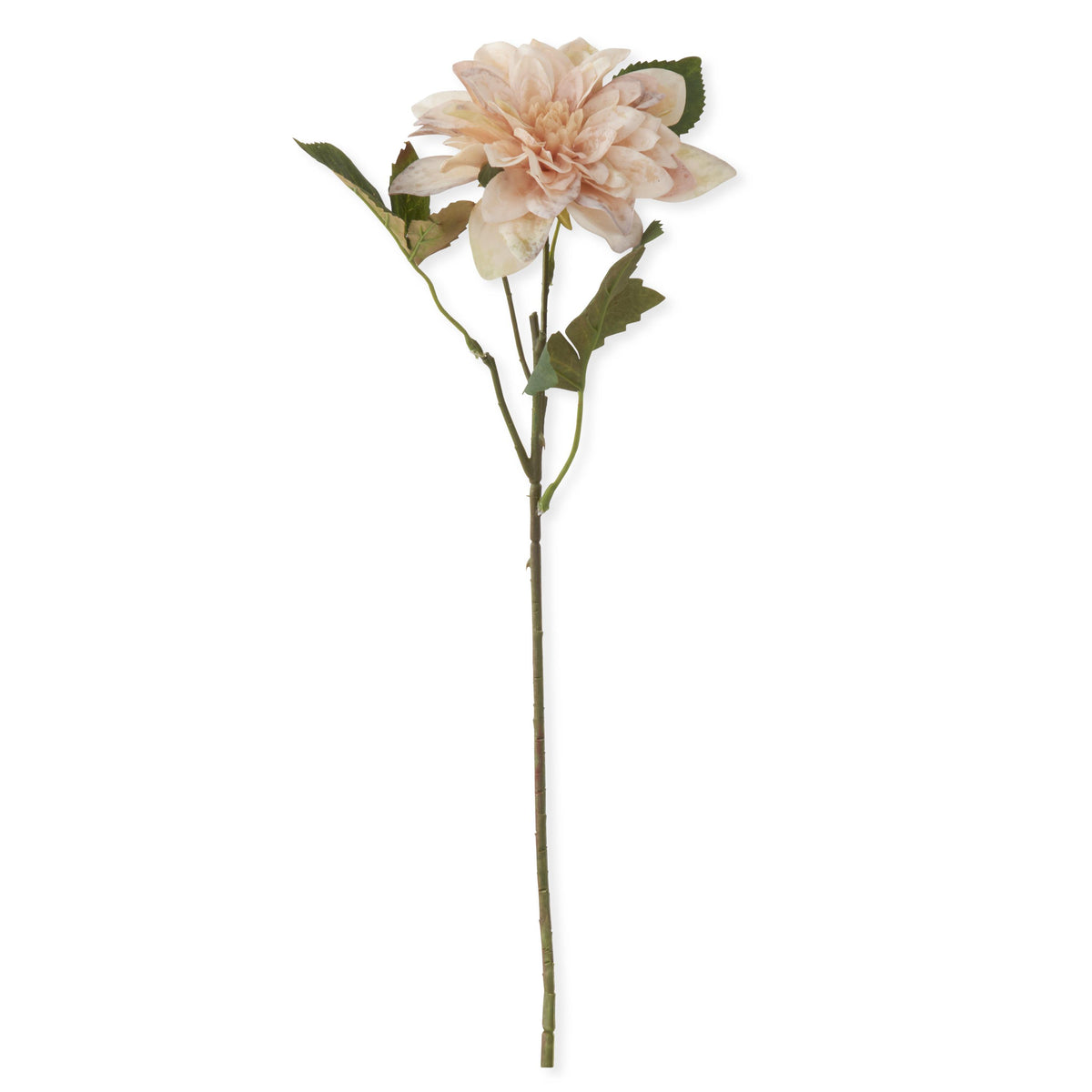 Cream Real Touch Dahlia