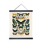 Vintage Millot Butterfly 1 Print