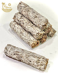 7 inch White California Sage Bundles- White Sage from Farm
