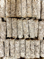 7 inch White California Sage Bundles- White Sage from Farm