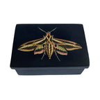 Sphinx Moth Black Soapstone Trinket Jewelry | Storage Box