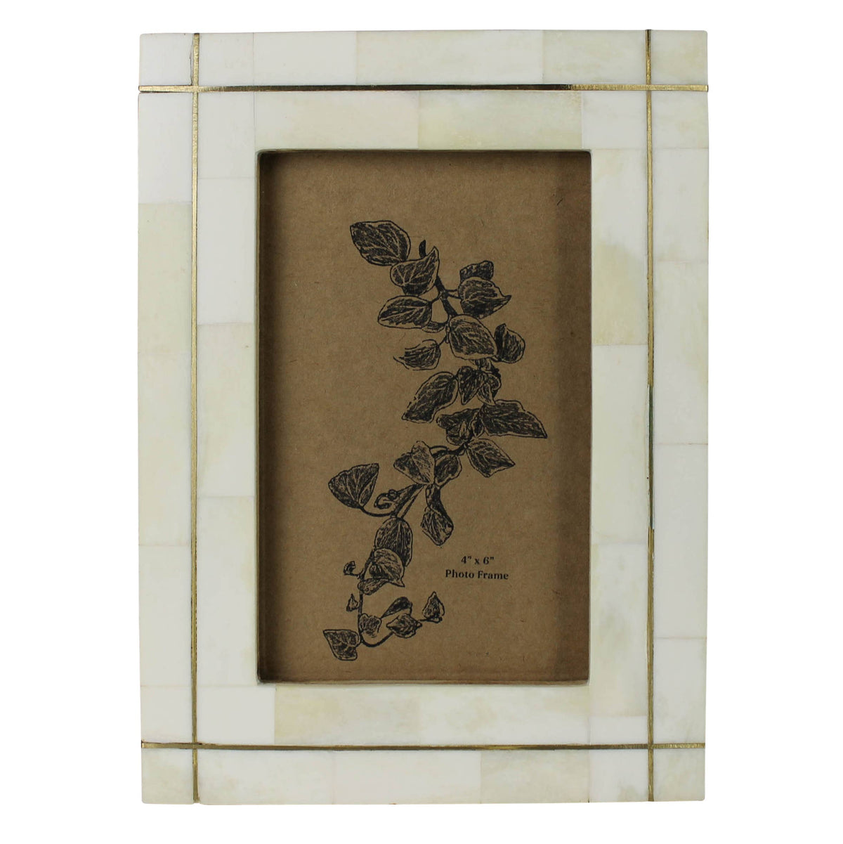 Bone with Brass Grid Frame - 4x6