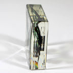 Real Common Blue Bottle Butterfly Resin Paperweight