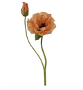 Poppy Peach