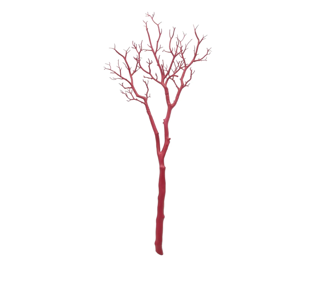 Manzanita Branch