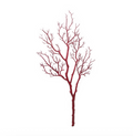 Manzanita Branch