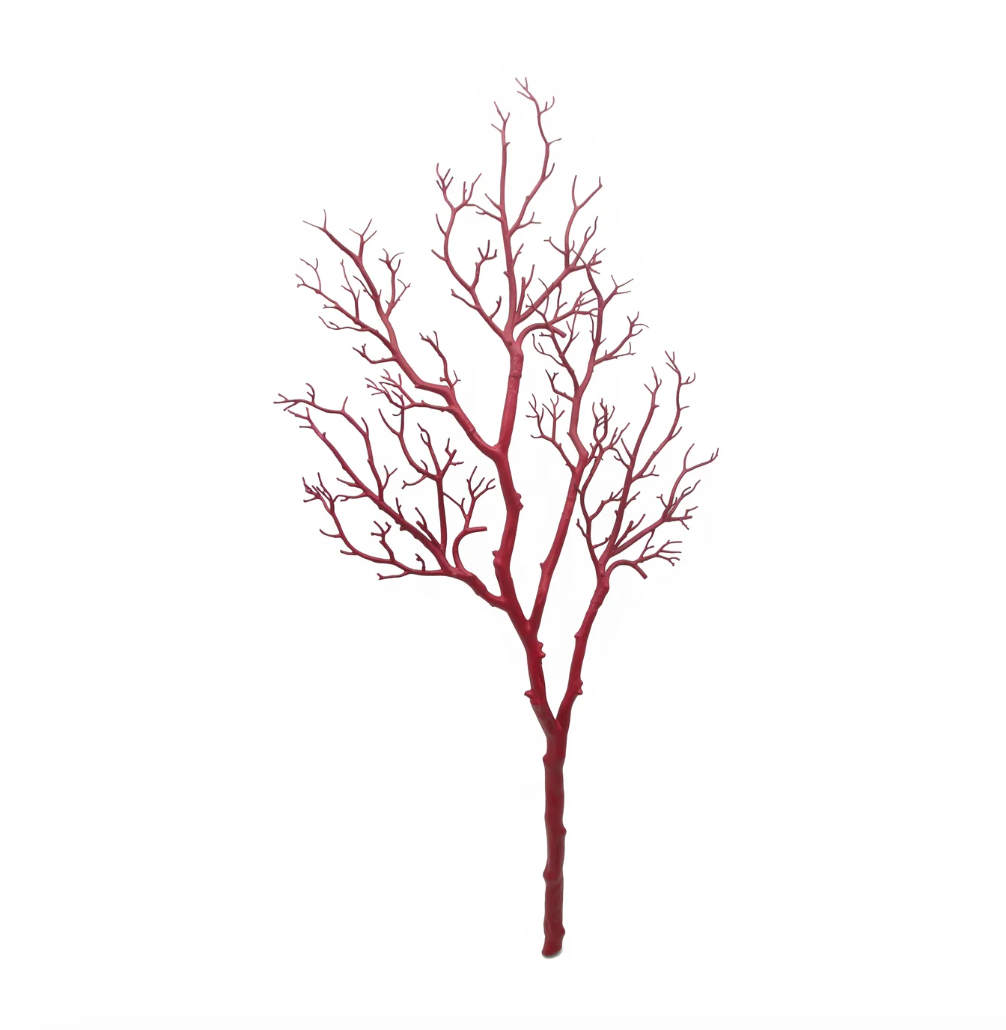 Manzanita Branch