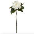 Magnolia M. Two-Tone White