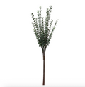 Eucalyptus Bundle 23"