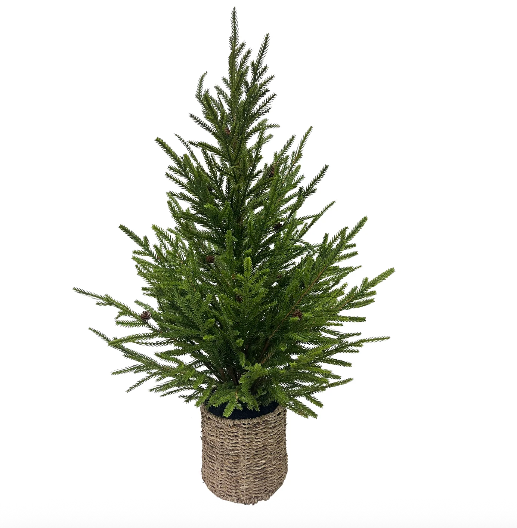 Norfolk Tree w/ Basket
