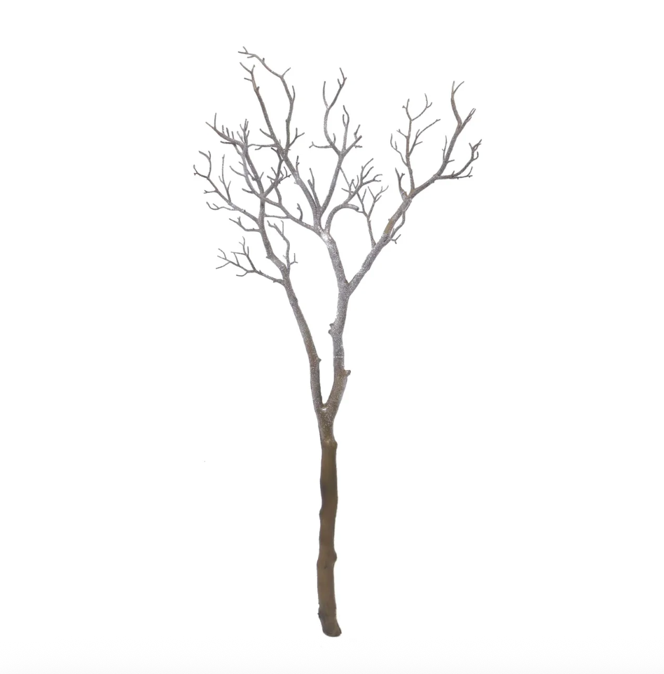 Manzanita Branch