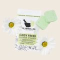 Botanical Shower Steamer Minis 2-Pack | Spa Aromatherapy
