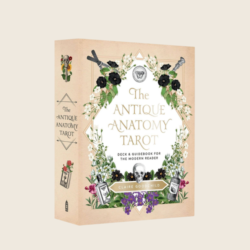 Antique Anatomy Tarot Kit