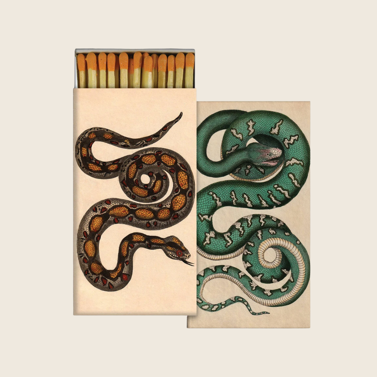 Match - Rare Snakes
