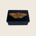 Emperor Moth Black Soapstone Box
