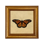 Monarch Butterfly Print
