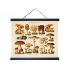 Vintage German Mushroom Pilze 1 Print