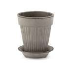 Simona Pot + Saucer