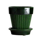 Simona Pot + Saucer