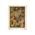 Art print featuring colorful vintage Haeckel sea anemone illustration on cream border, portrait orientation