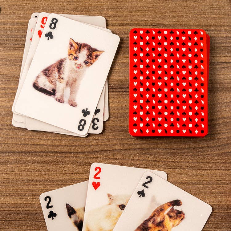 Playing Cards Cats 3D