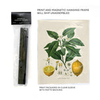 Vintage Anatomy Sitting Skeleton Print