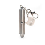 Rechargeable Laser Pointer