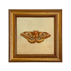Emperor Moth Print