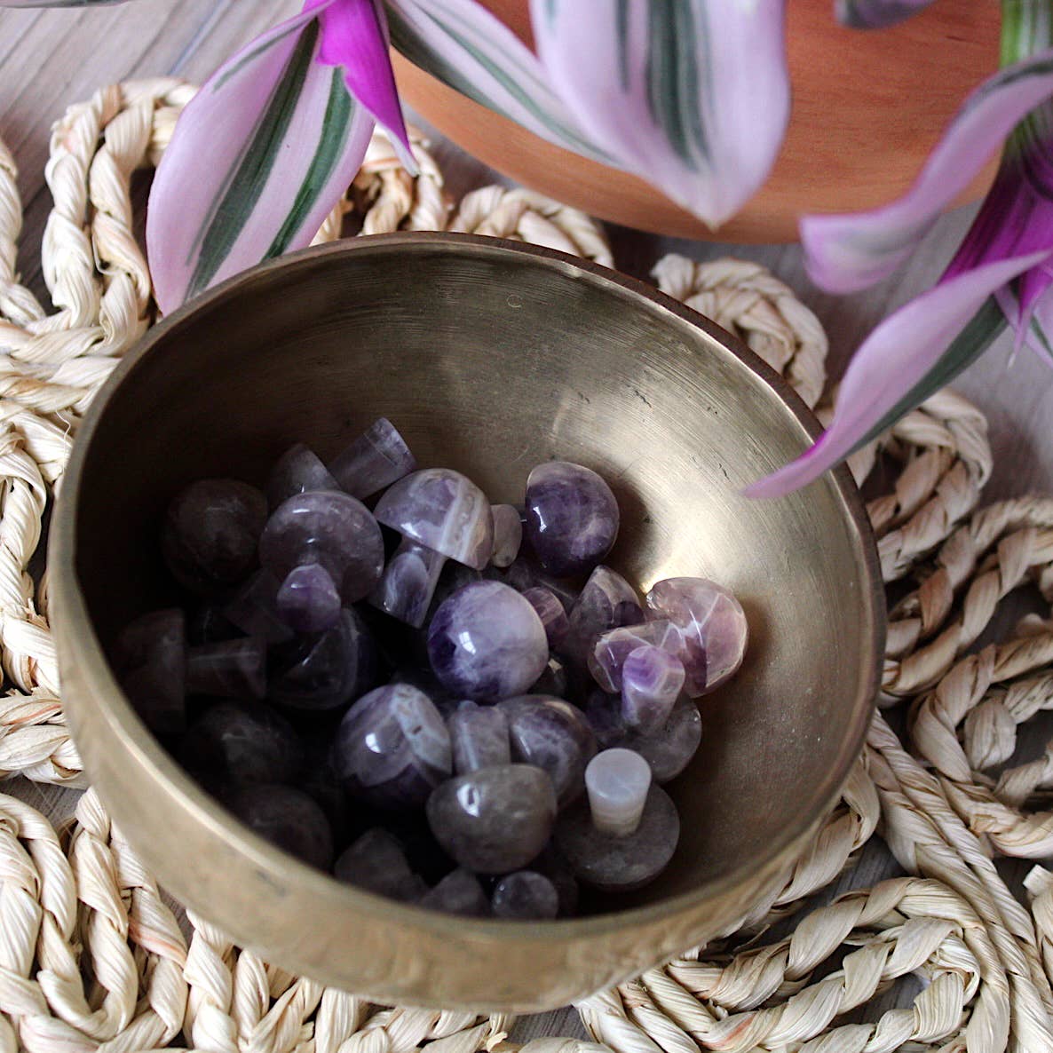 Amethyst Mini Mushroom (Crystals & Stones)
