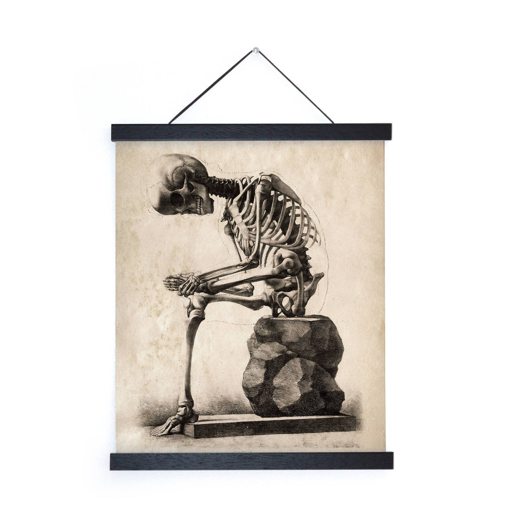 Vintage Anatomy Sitting Skeleton Print