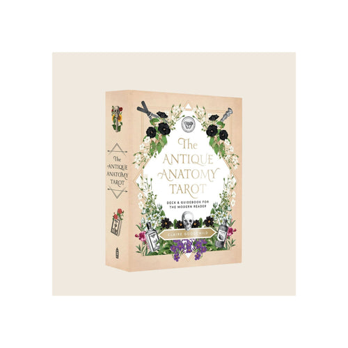 Antique Anatomy Tarot kit box, angled three-quarter view, beige kraft-style packaging with floral and skull illustration