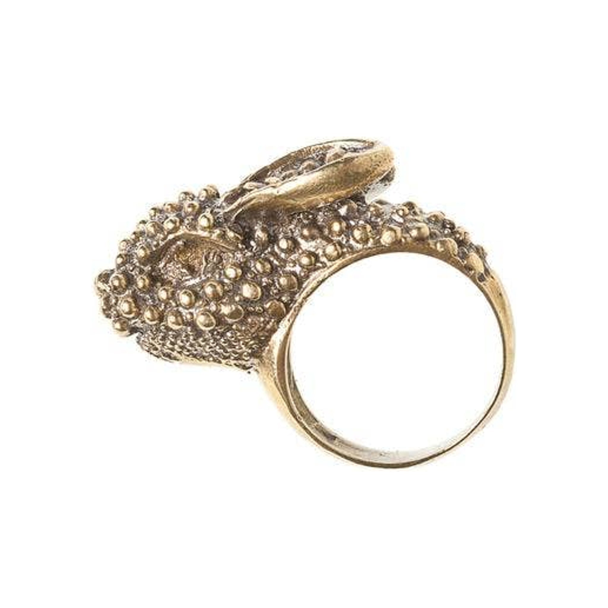 Rabbit Ring