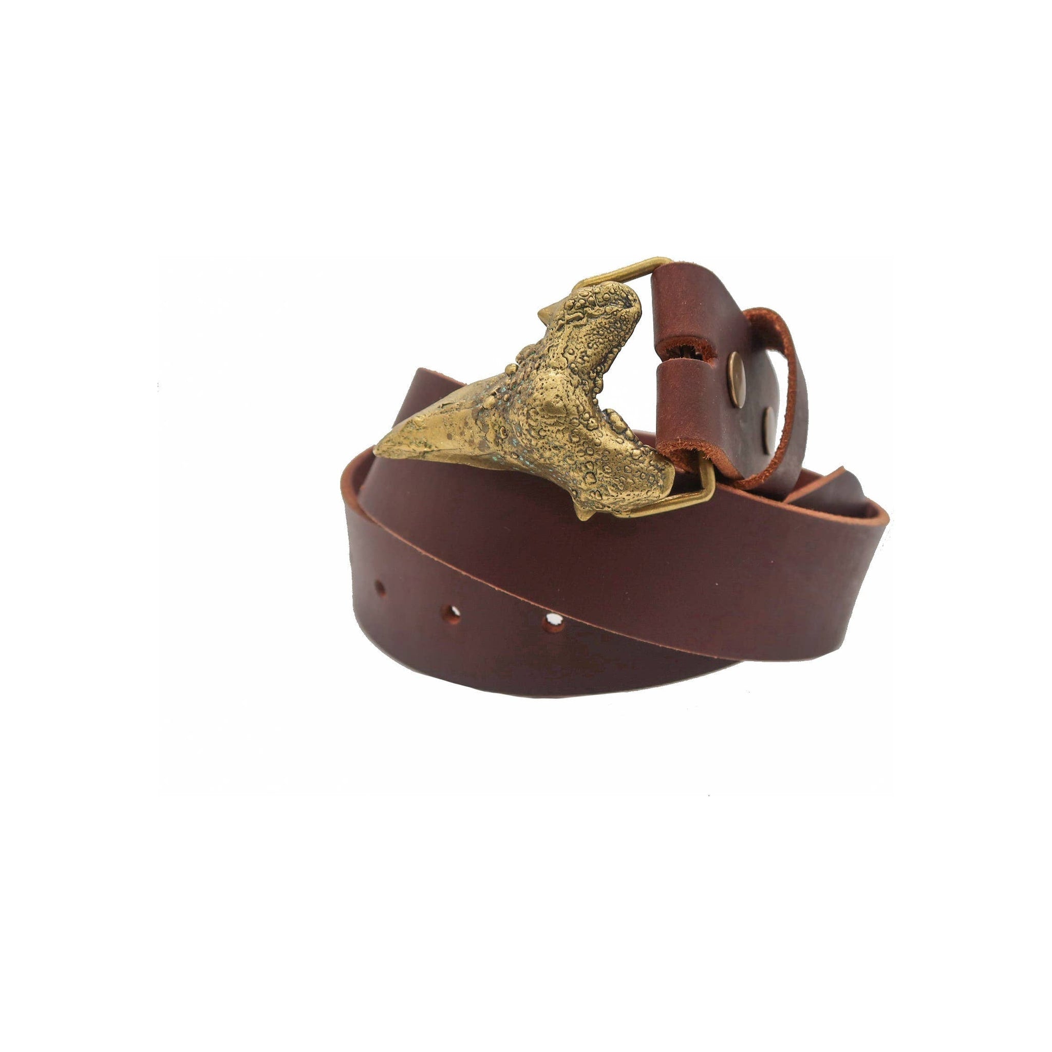 Shark Tooth Belt