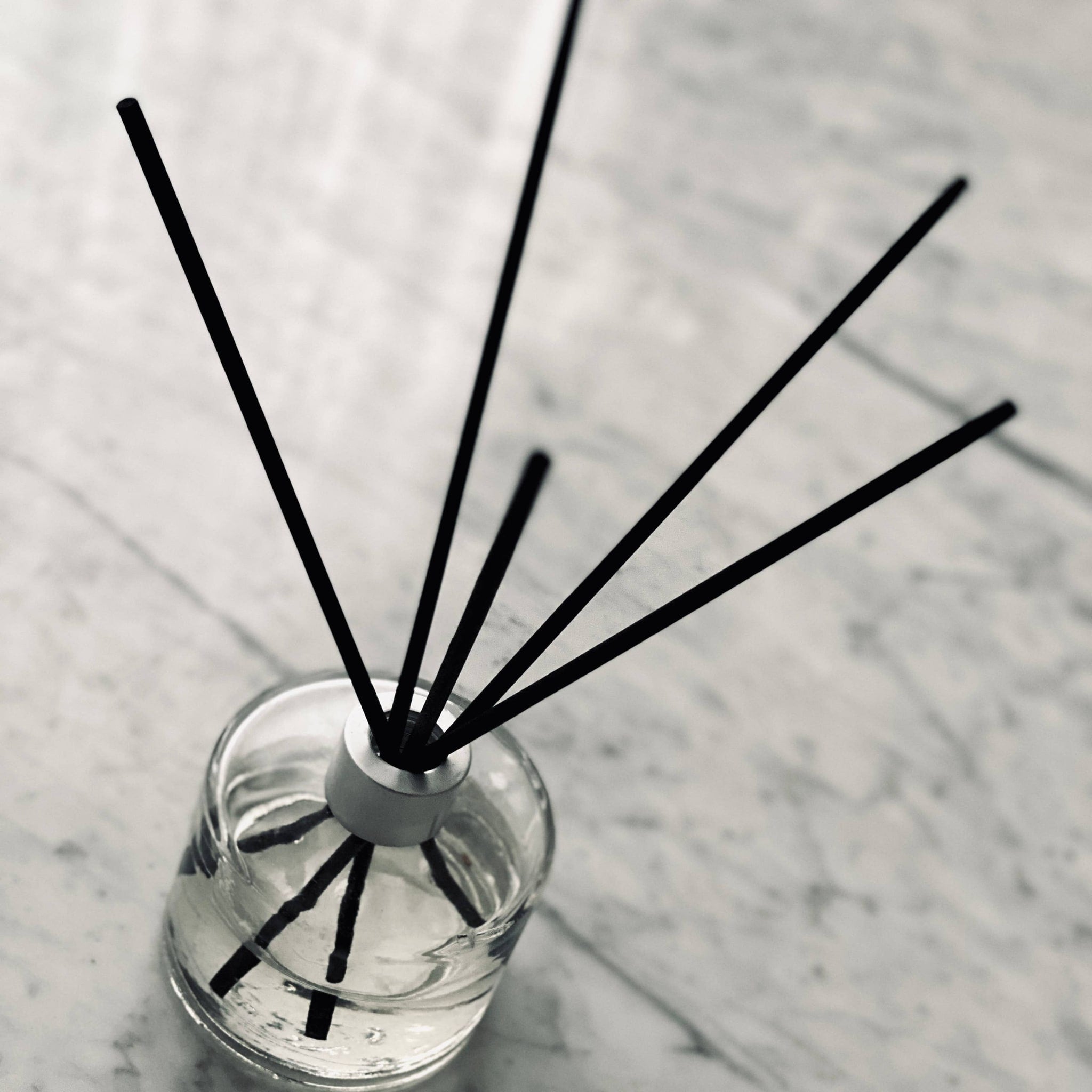 Pine Reed Diffuser | Eucalyptus Herbal Fresh