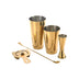 Barfly M37101 Basics Cocktail Set, 5-piece, Gold