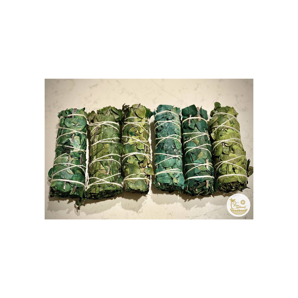 Eucalyptus Smudge Bundles