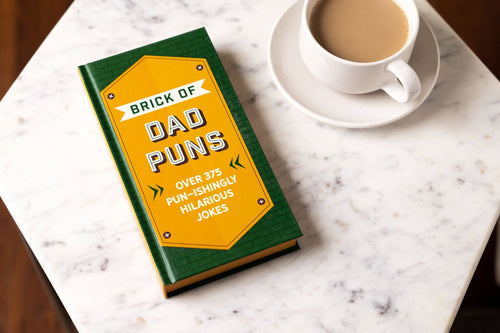 Brick Of Dad Puns