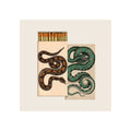 Matchbox set with illustrated coiled snake designs, open box showing orange-tipped matches