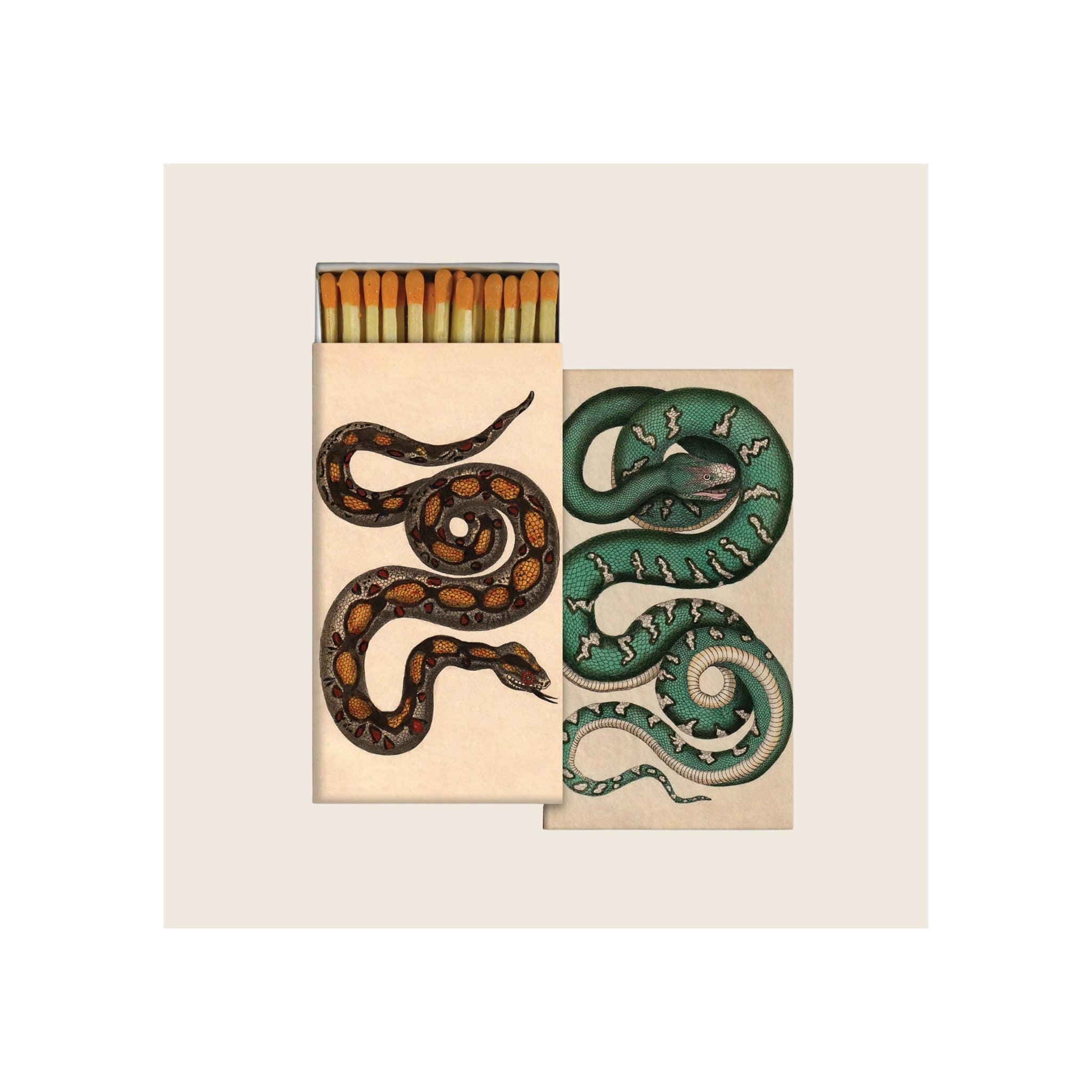 Matchbox set with illustrated coiled snake designs, open box showing orange-tipped matches