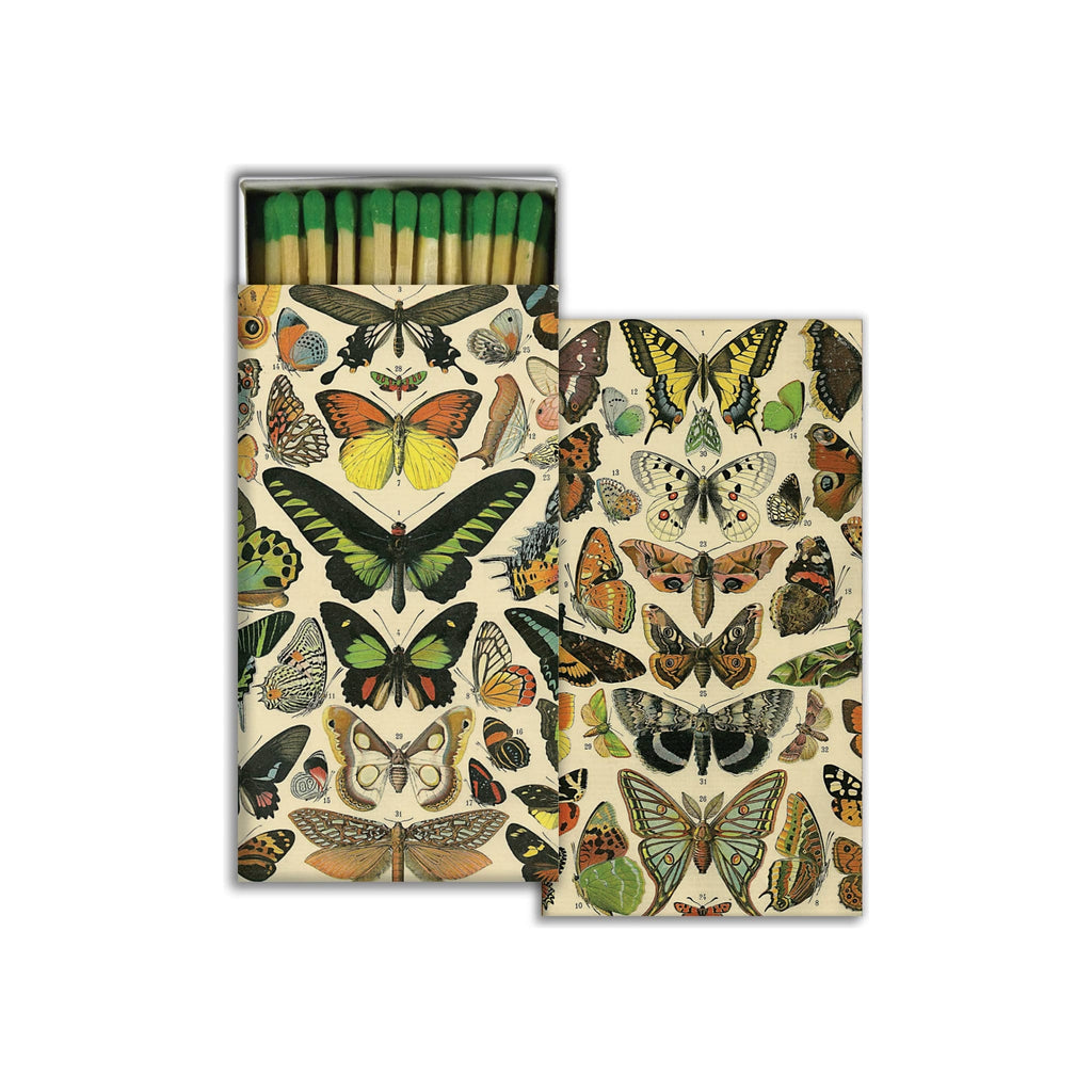 Matches - Butterfly Specimens