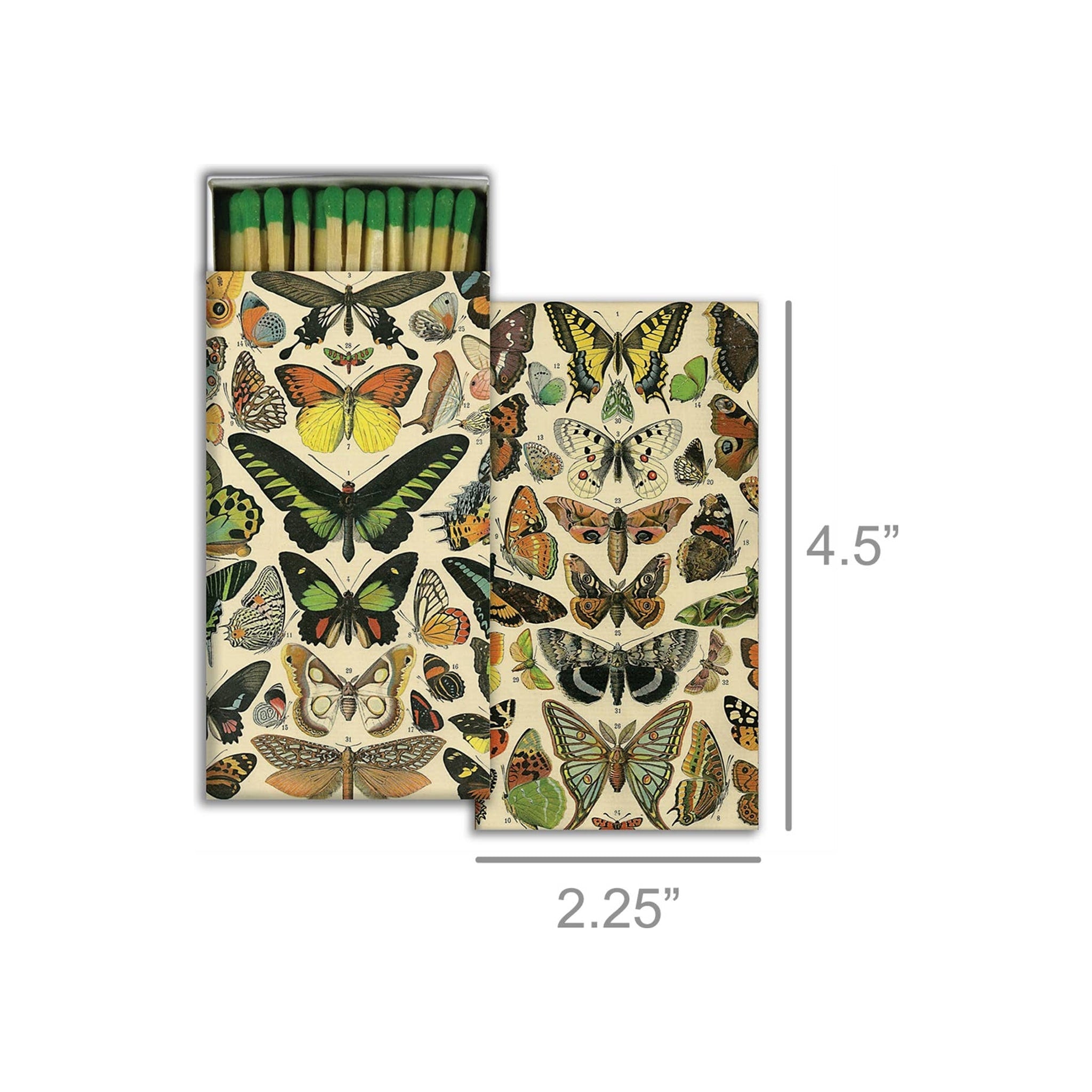 Matches - Butterfly Specimens